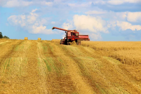 Completa tu formación agraria y agroalimentaria